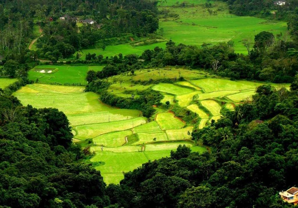COORG