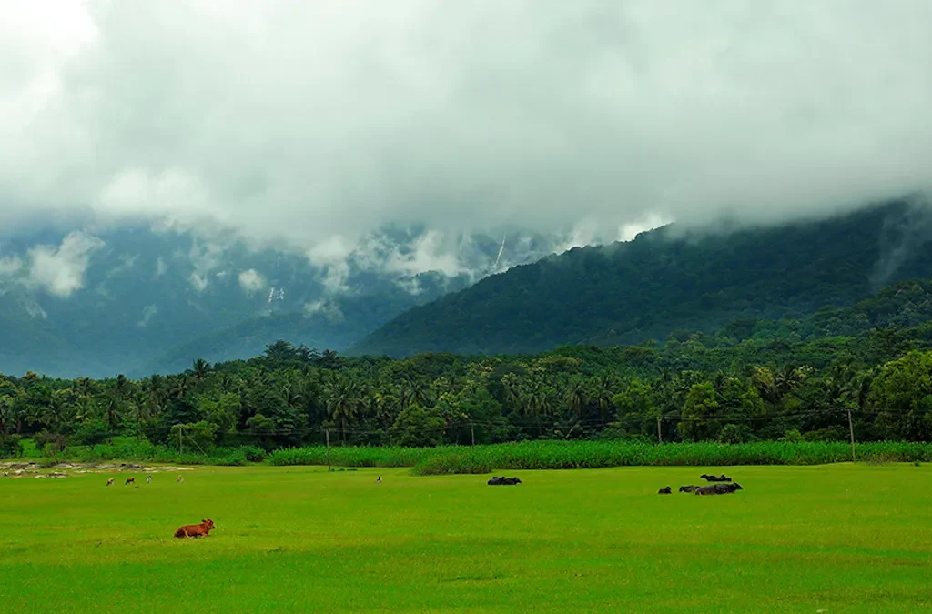 PALAKKAD to KOCHI