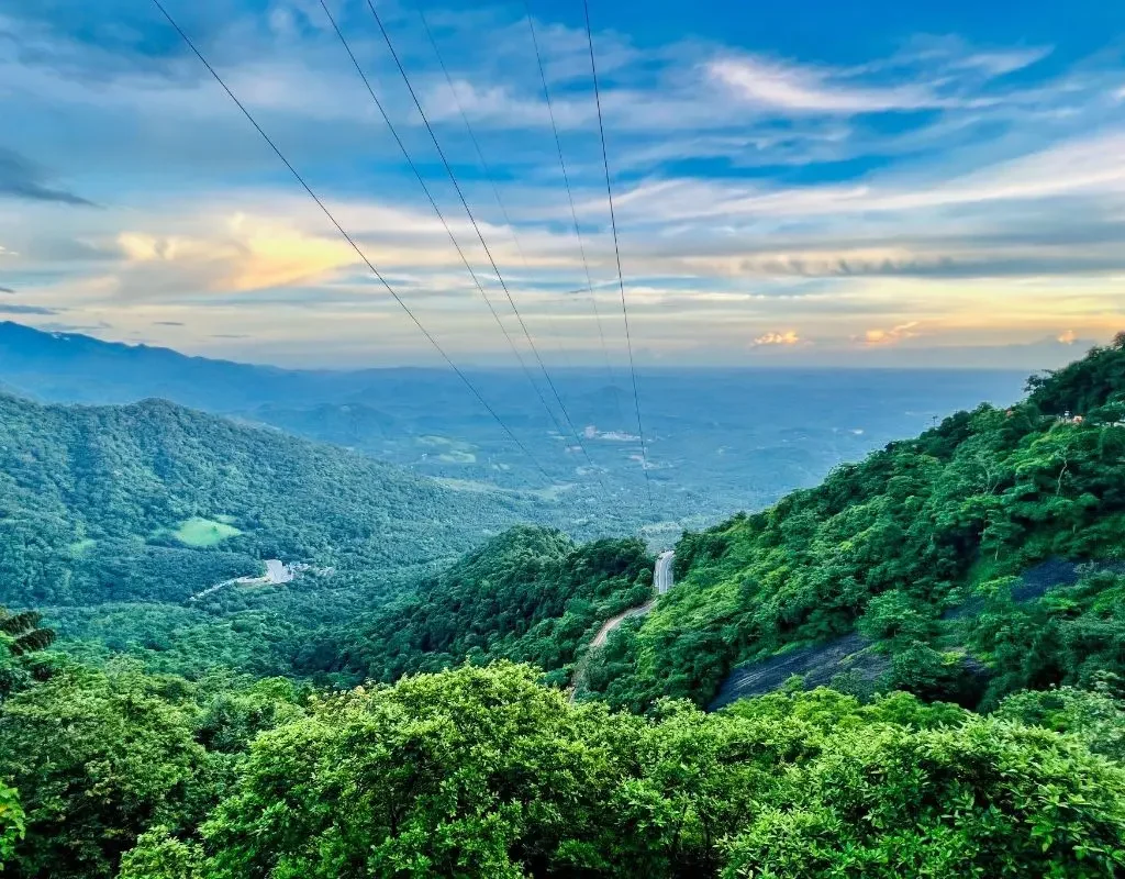 WAYANAD